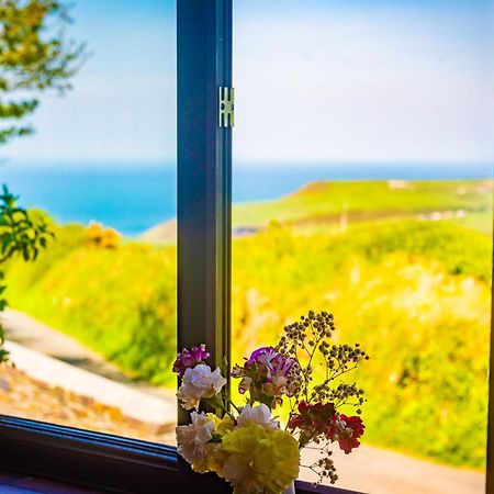 Polrunny Farm Elderberry Cottage With Sea View 보스캐슬 외부 사진