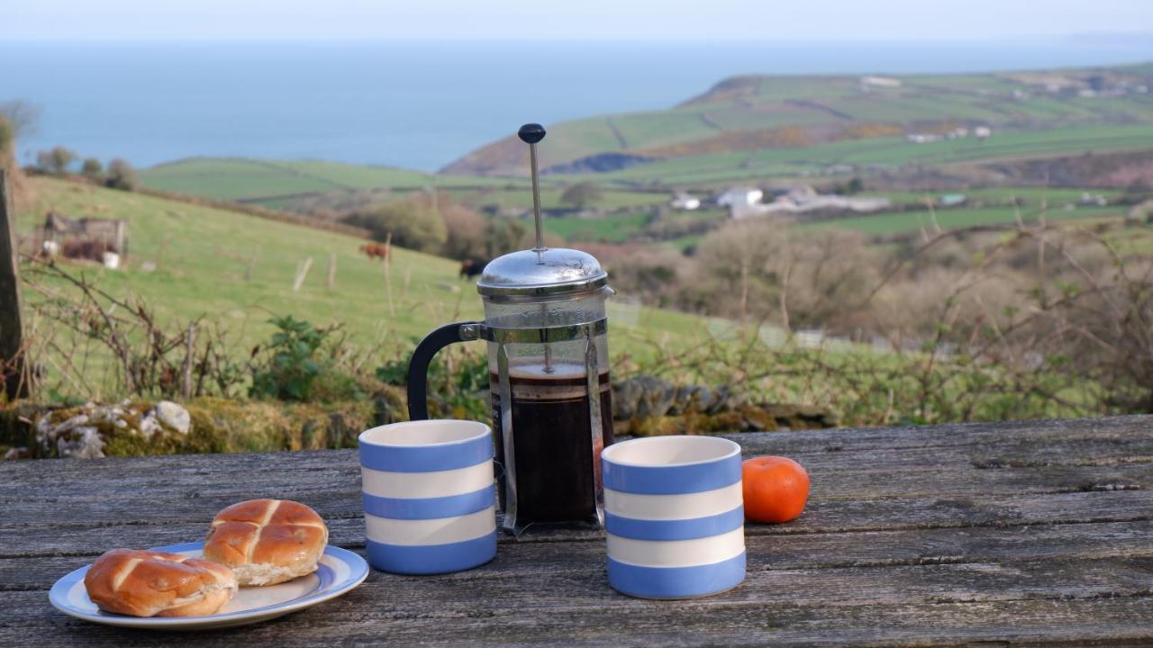 Polrunny Farm Elderberry Cottage With Sea View 보스캐슬 외부 사진