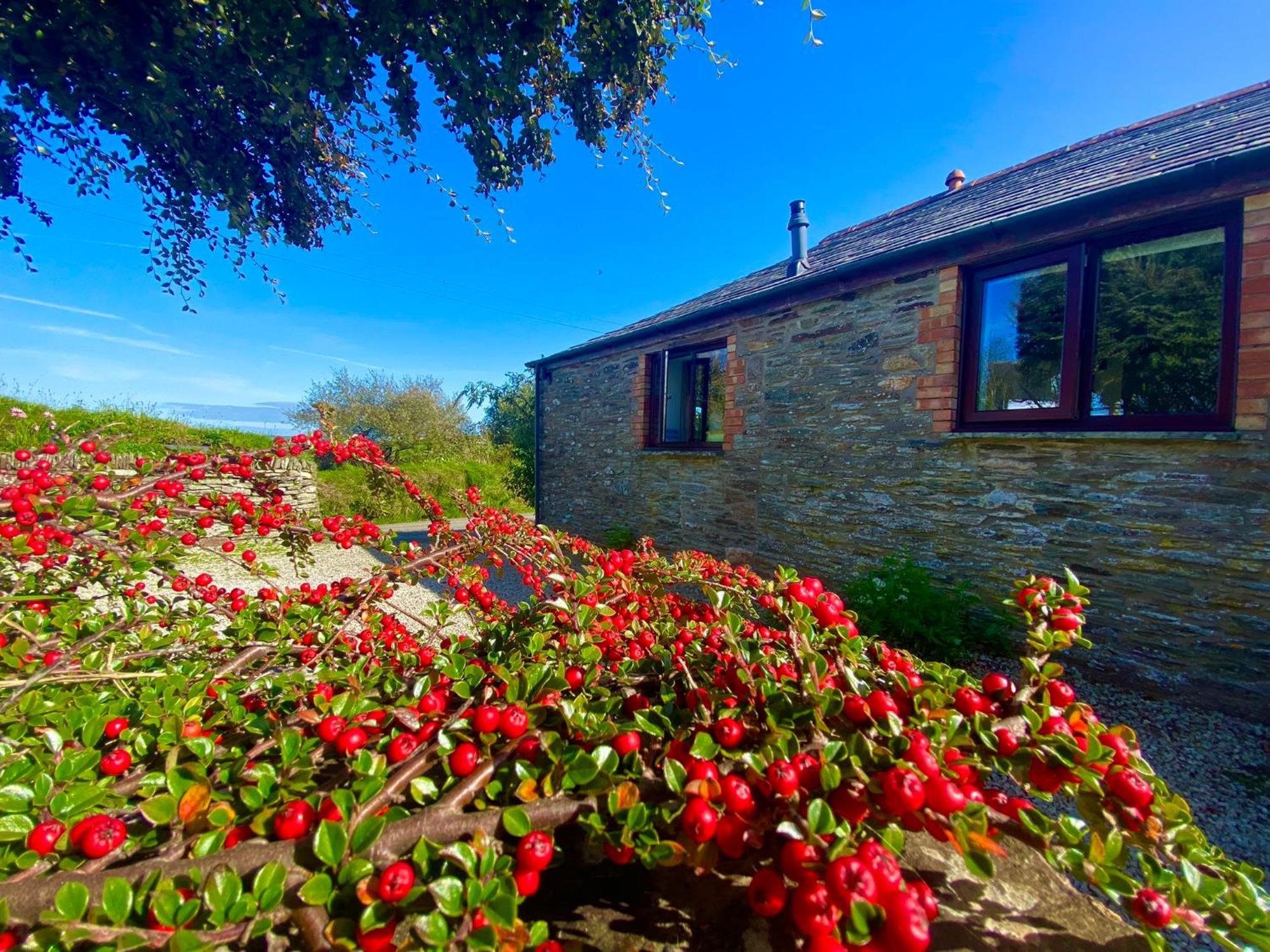Polrunny Farm Elderberry Cottage With Sea View 보스캐슬 외부 사진